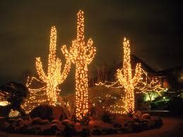 Well you're in luck, because here they come. Things to Do in Arizona December 2017...Lights + More