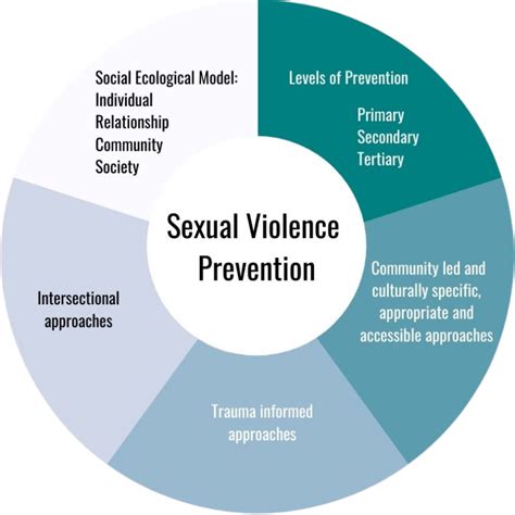 Understanding Sexual Violence — Nasasv