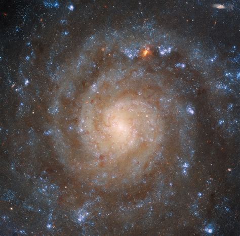 Webb Sees Complex Structures In Spiral Galaxy Ic 5332 Scinews