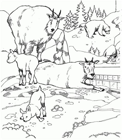 Get This Online Zoo Coloring Pages For Children 80037