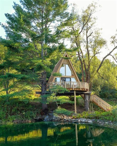 Unique Homes Tree House Tree House Designs Backyard Guest Houses