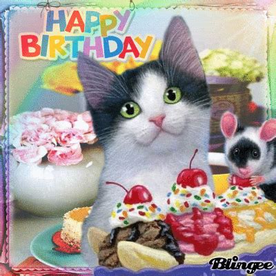 Uploaded by birthday under birthday 339 views . Happy Kitty Happy Birthday Quote Pictures, Photos, and Images for Facebook, Tumblr, Pinterest ...