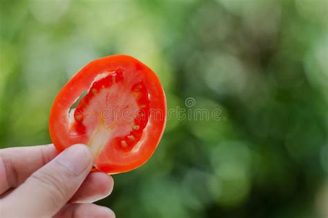 Pick A Tomato Slice Stock Image Image Of Vegetable Tomato 62548141