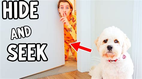 Hide And Seek With Our Puppy Youtube