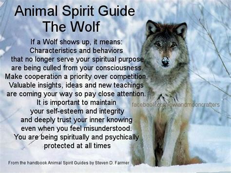 Wolf Animal Spirit Quotes Quotesgram