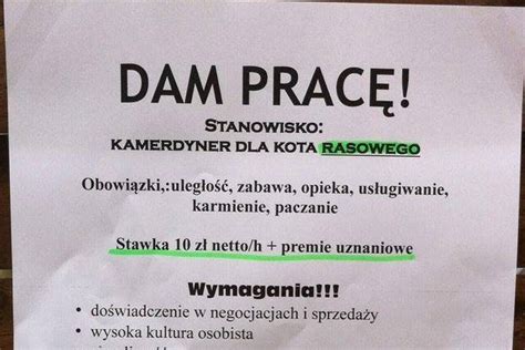 W żninie nazwa jednostki organizacyjnej:dział farmacjiwymagania niezbędne:wykształcenie wyższe farmaceutyczne (dyplom ukończenia studiów. Takiego ogłoszenia o pracę jeszcze nie było. Stanowisko ...