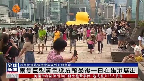 粤语报道两只巨型黄色橡皮鸭最后一日在维港展出 凤凰网视频 凤凰网