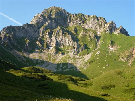 Alps Alpine