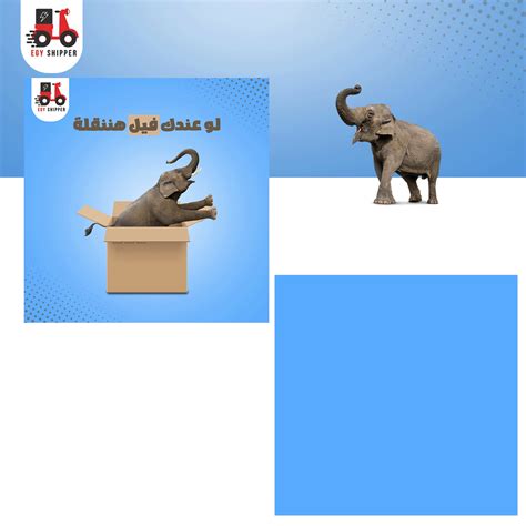 socialmedia; social media; graphic designer; design; social-media