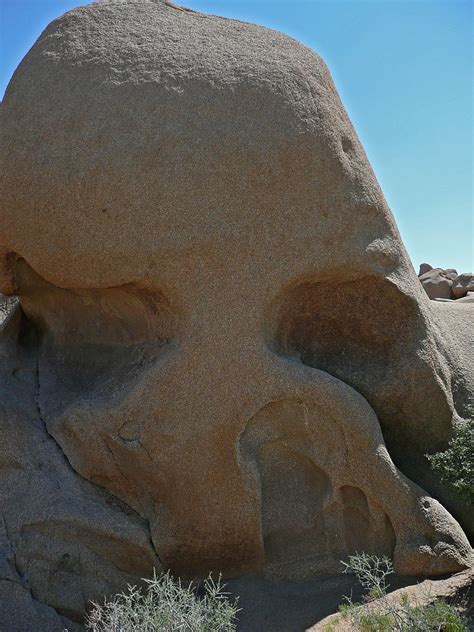 Free Photo Skull Rock Joshua Tree National Park Tourist Attraction