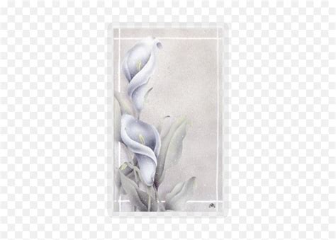 Calla Lilies Series Personalized Prayer Holy Card Png Calla Lily Png