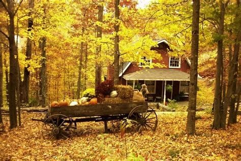 Pin By Sharon On Autumn And Thanksgiving Fall Cottage Autumn