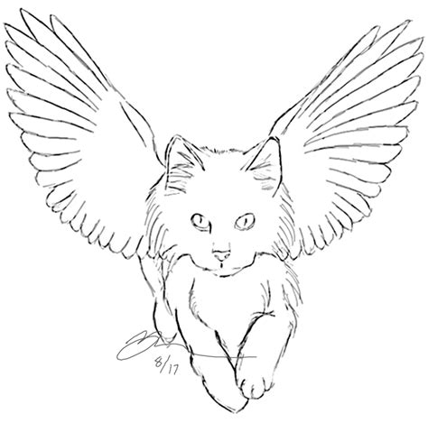 How To Draw A Flying Cat Cats Anime Drawing