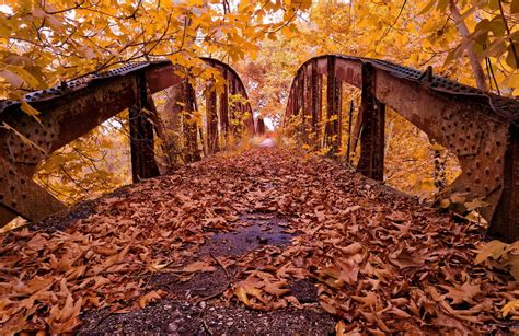 Autumn Bridge Images Wallpapers Wallpaper Cave
