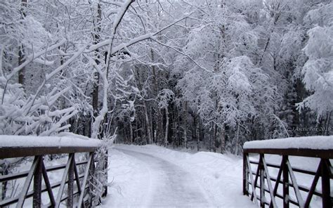 Walking In A Winter Wonderland Gloholiday