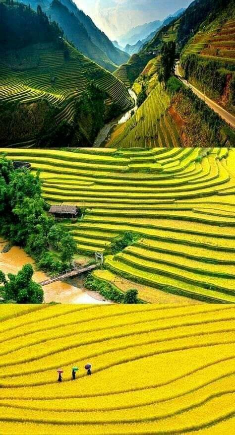 Vietnam Beautiful Landscapes Beautiful Photography Nature Scenery