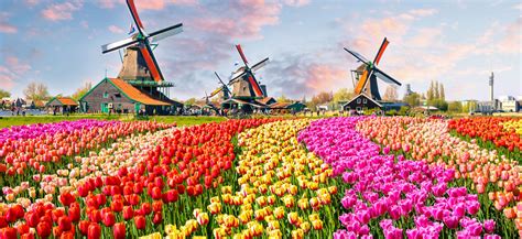 Você está procurando hotéis em países baixos? Qual é a diferença entre Holanda e Países Baixos? | Blog ...