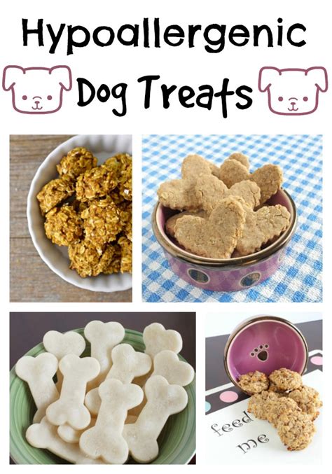 4 Amazing Hypoallergenic Dog Treat Recipes - DogVills