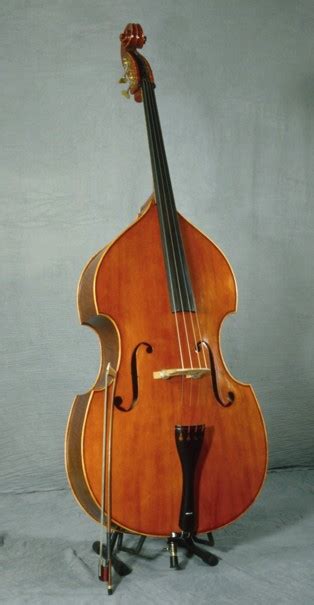 Double Bass · Grinnell College Musical Instrument Collection · Grinnell