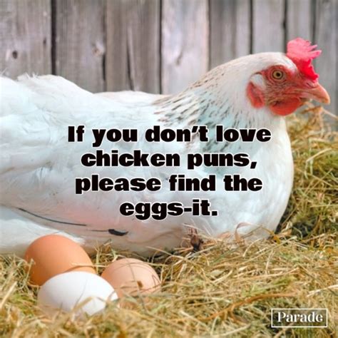 50 Eggs Cellent Chicken Puns Thatll Inspire Your Inner Comedi Hen