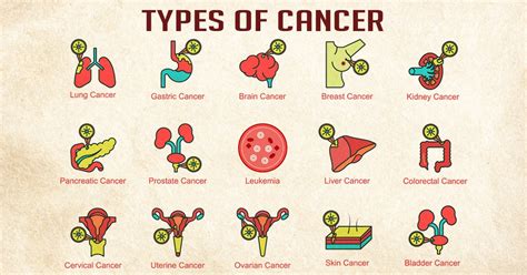 Types Of Cancer Symptoms Causes And Treatment Health Reactive Body Revival