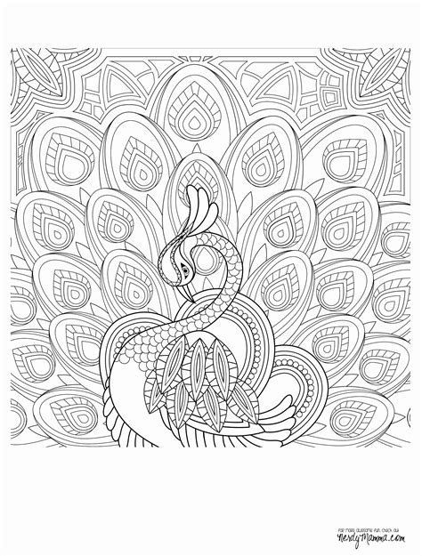 Download 196+ Coloring Books For Adults With Dementia PNG PDF File
