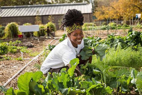 Shoppe Blacks List Of Black Owned Farms And Food Gardens — Agritecture