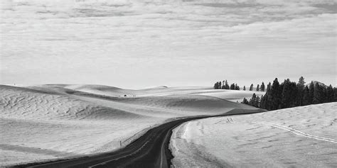 Winter Country Road 2 Bw Photograph By Tatiana Travelways Fine Art