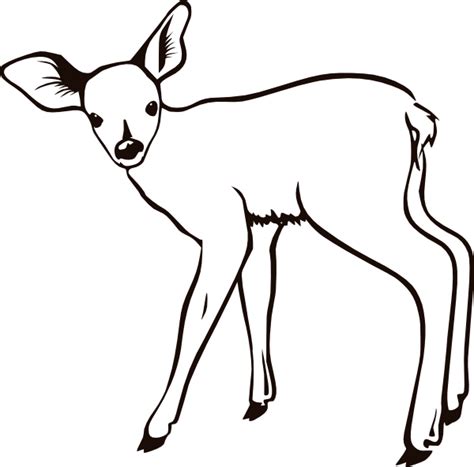 Download Fawn Outline Clip Art at Clker.com - vector clip art online, royalty free & public domain