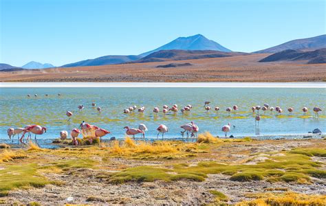 It is surrounded by brazil to the northeast, peru to the northwest, chile to the southwest, argentina and paraguay to the south. Best Time to Travel to Bolivia - Chimu Blog