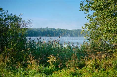 Forest Lake In Summer Stock Photo Image Of Lake Landscape 214947838