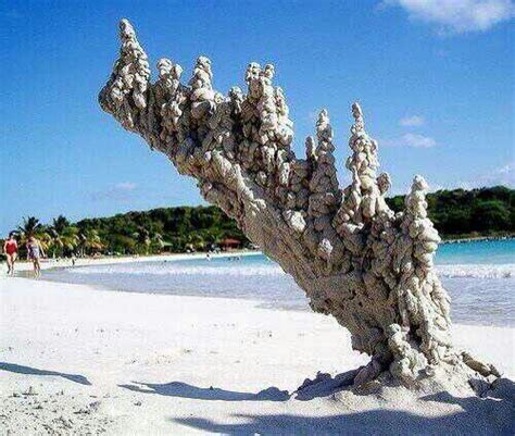 Cool What Happens When Lightning Strikes The Sand Glass Sculptures Called Fulgurites Are