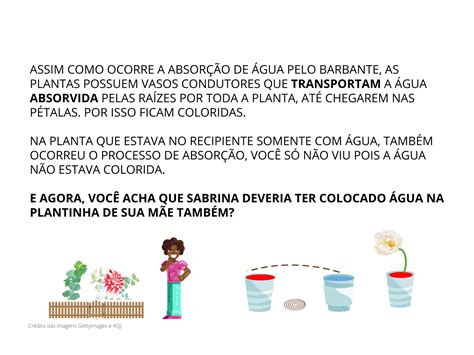 Atividades Sobre A Importância Da água 6 Ano