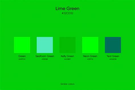 What Color Is Lime Green Meaning Similar Colors And How To Work With