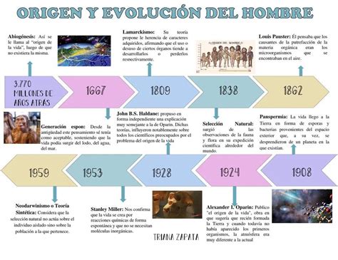 Linea De Tiempo De La Evolucion Del Hombre Timeline T