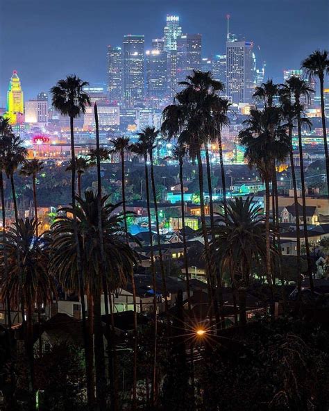 City Lights And Palm Trees Downtown La At Night