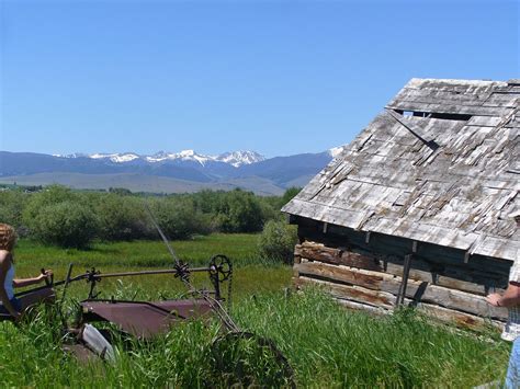 Montana Homestead Homesteading Montana Abandoned Cabin Olds