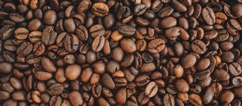 What Is Arabica Coffee And Where Is It From Kent Tea And Coffee Co