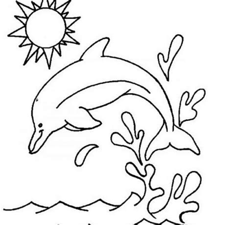 The site owner hides the web page description. 动物简笔画/小动物简笔画大全/有卡通和彩色动物 - 简笔画大全 - 懒人建站