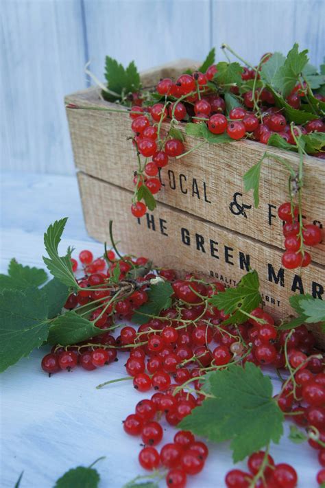 Free Stock Photo Of Berries Berry Food