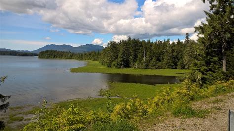 Information on prince of wales island, alaska including parks, maps, attractions, travel tips, pictures and video. Prince of Wales Island: Wildlife — Destination: Wildlife™