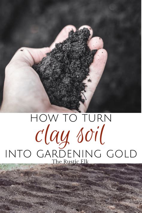 How To Turn Clay Soil Into Gardening Gold Clay Soil Planting In Clay