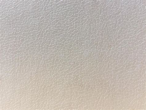 Cream Leather Padded Studded Luxury Background Stock Image Image Of