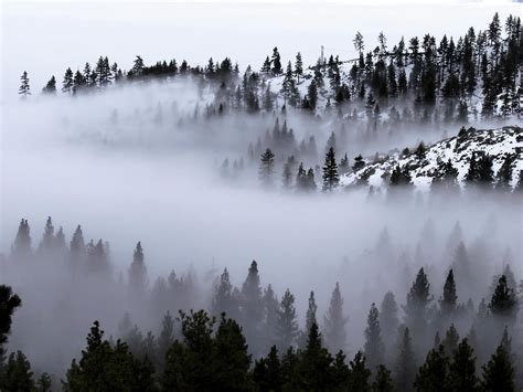 Foggy Mountain Pass Photograph By Christopher Johnson