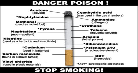 As part of the family smoking prevention and tobacco control act that was signed into law on june 22, 2009, manufacturers were required to submit ingredient lists to the u.s. WAKE UP: These Are All The Ingredients Of Cigarettes That ...