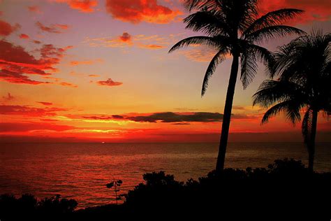 Tropical Sunset Photograph By Kamil Swiatek Pixels