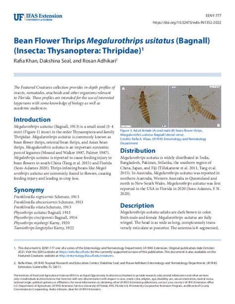 Pdf Bean Flower Thrips Megalurothrips Usitatus Bagnall Insecta