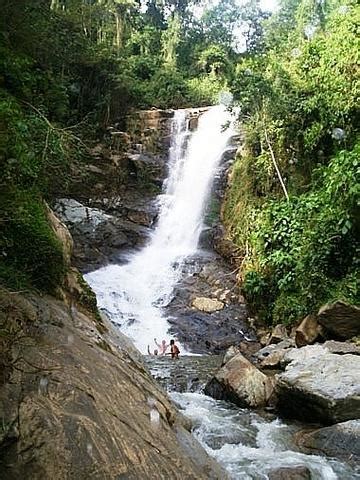 Maybe you would like to learn more about one of these? Foto de Santa Elena, Medellín - Antioquia, Colombia