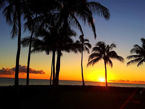 Hawaiian Palm Tree Sunset Photograph By Kat J