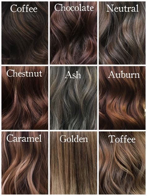 Medium Brown Hair Color Chart Brunette Brownhair Capuchino And Medium Chestnut Brown Hair